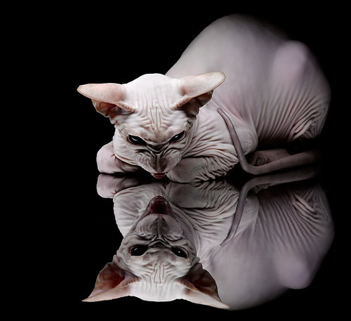 唯一的关键先生,拉文在快船最后时刻击败76人的传奇表演