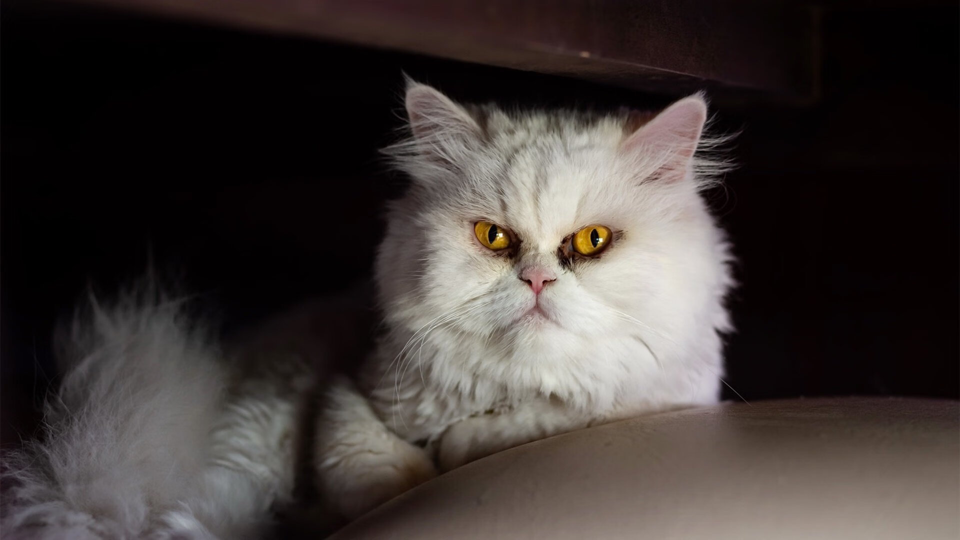 隐形锁链，三笘薰的防守革命，如何在瑞典式战术中冻结那不勒斯的闪电