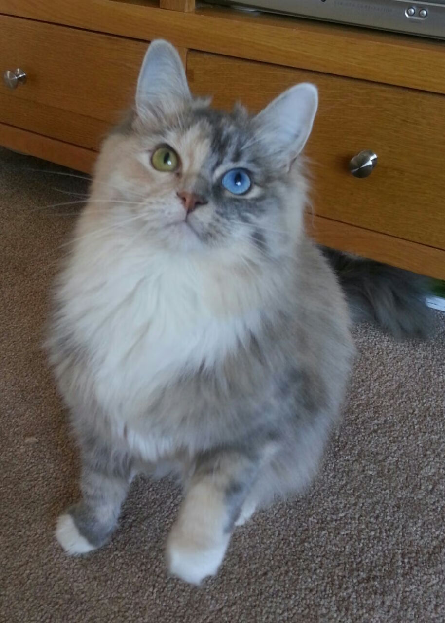 奥运关键热身,马竞加时取胜新西兰,努涅斯接管比赛