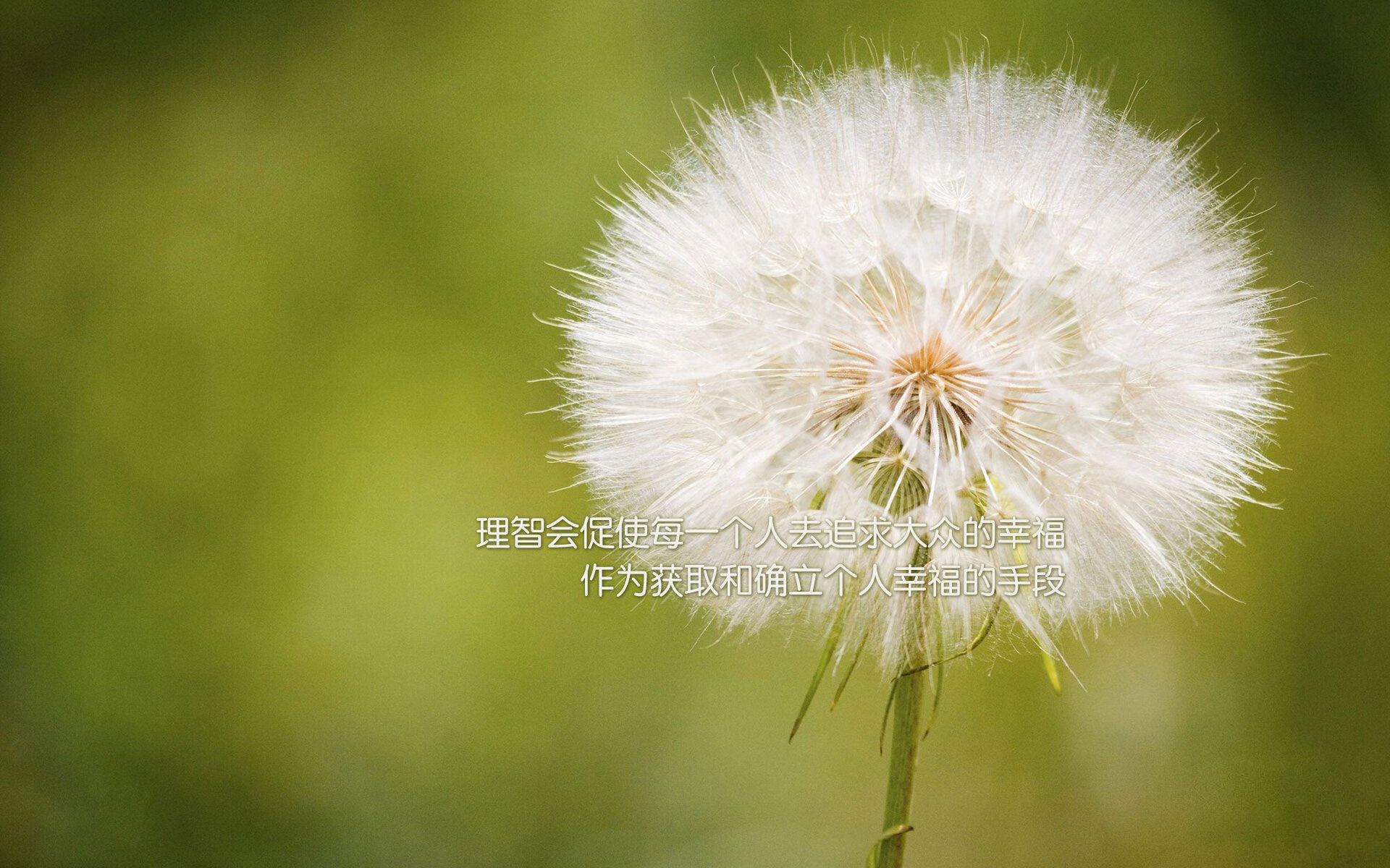 驻韩美军托尼的最后一课，如何优雅地带走一个国家