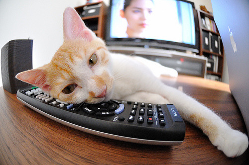 绝境英雄,哈登变身关键先生,奇才横扫活塞的背后