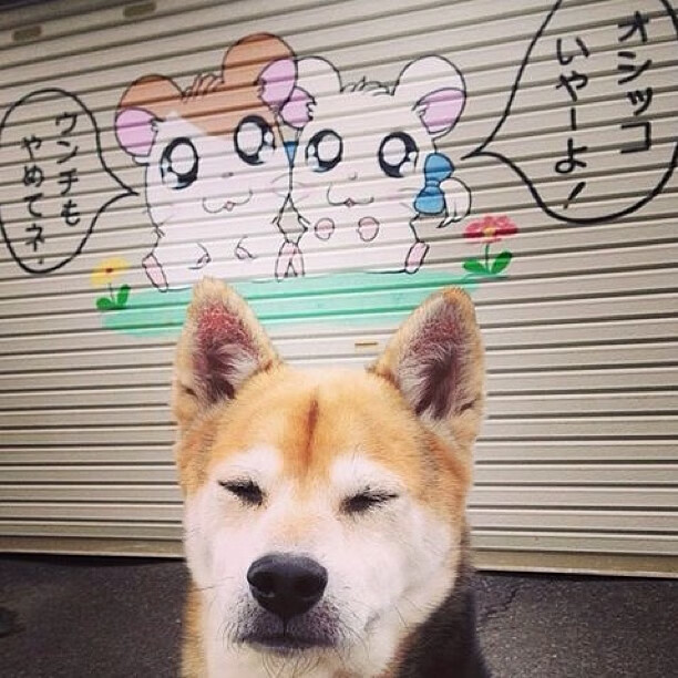 韩国铁血鏖战德甲巨人，伊萨克一剑封喉再证大场面先生本色