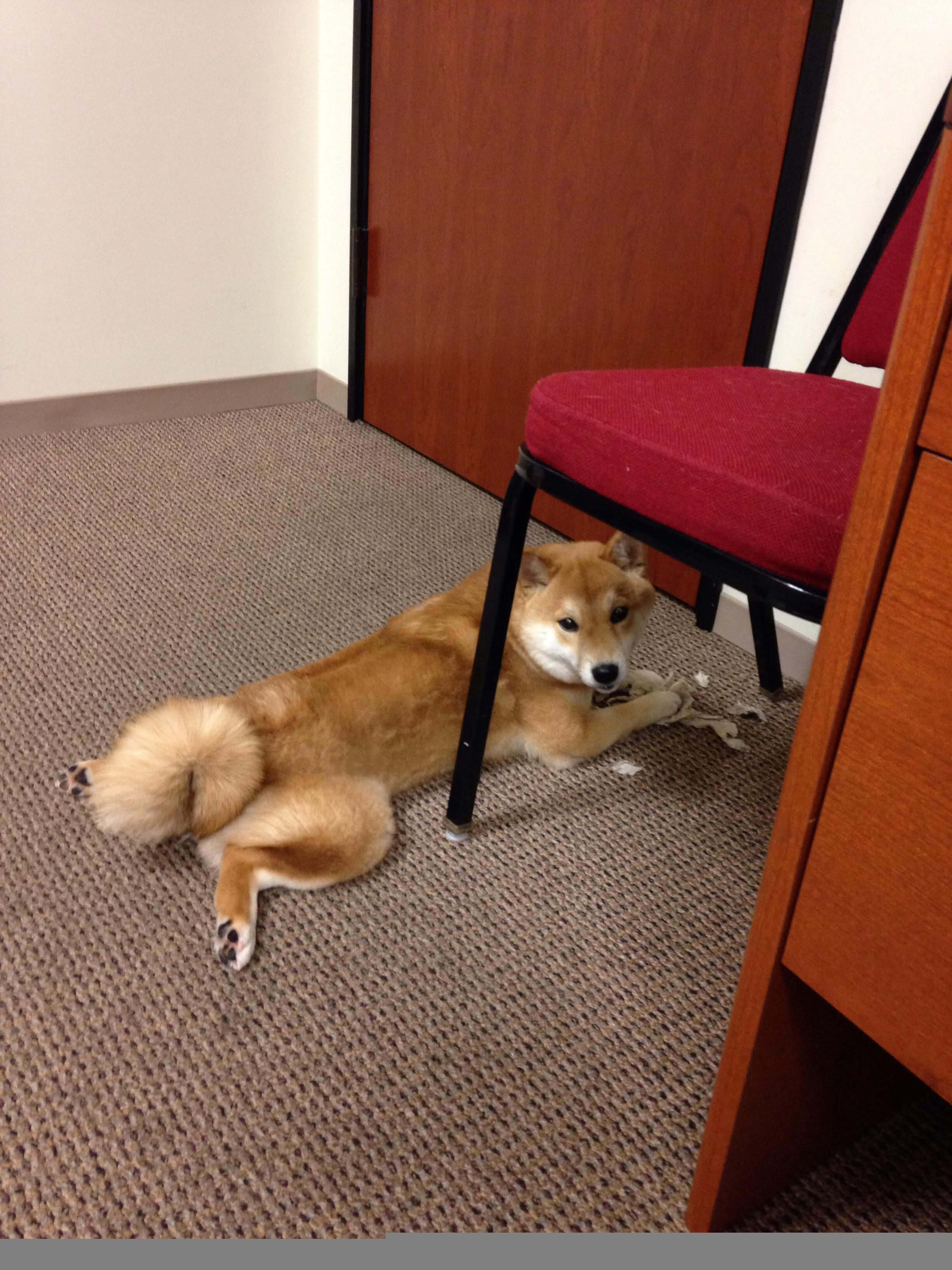 被淘汰者的背影,与争夺者的权杖,当竞技的残酷与荣光同框