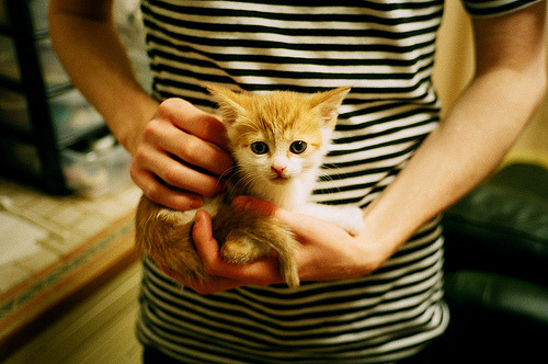 当冠军基因遭遇跨越太平洋的对话,莫兰特31分率步行者踏平深圳队的背后启示