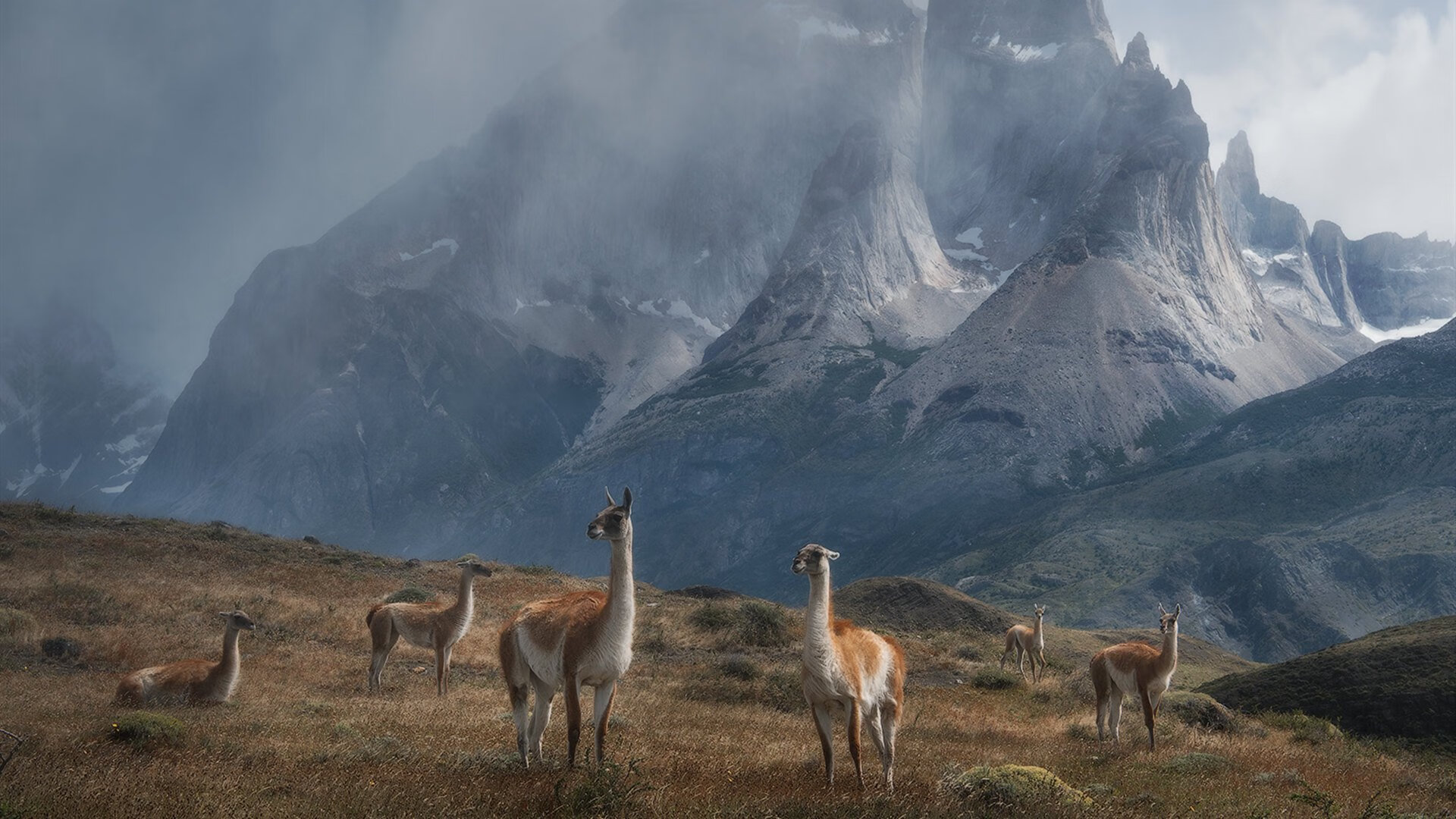 欧冠半决赛焦点战，上海队碾压活塞，亚洲篮球震撼世界舞台