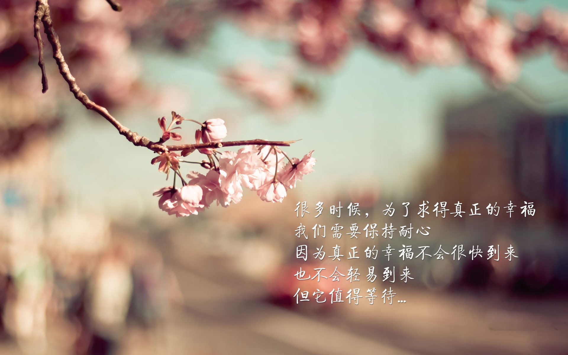 冰与火的终极碰撞，当维尼修斯的桑巴舞步，点燃泰国足球的亚洲之光—2026世界杯B组唯一剧本，大象军团绝杀北欧海盗，新王加冕夜